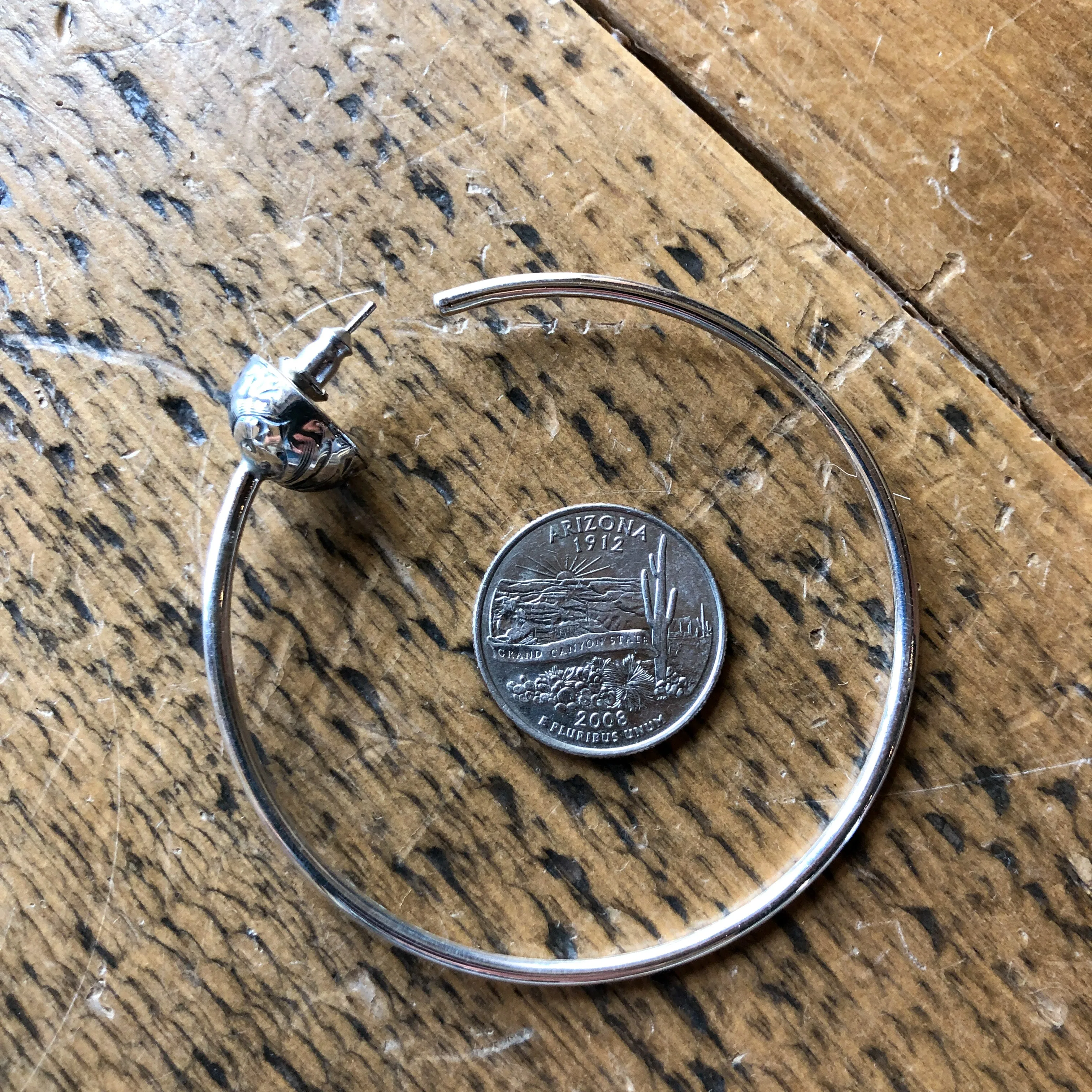 Horseshoe Bend Earrings
