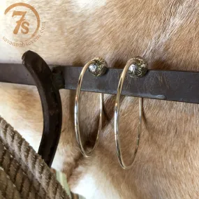 Horseshoe Bend Earrings