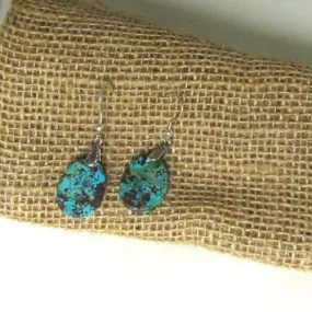 Variegated Turquoise Drop Earrings - Sterling Silver