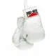 WHITE AUTOGRAPH GLOVES